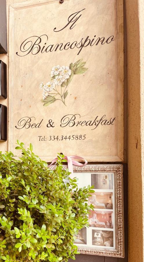 B&B Il Biancospino Abbadia San Salvatore Kültér fotó